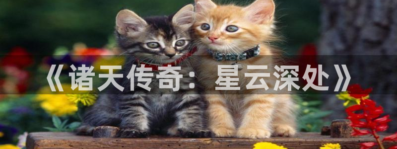 神马在线影院6080