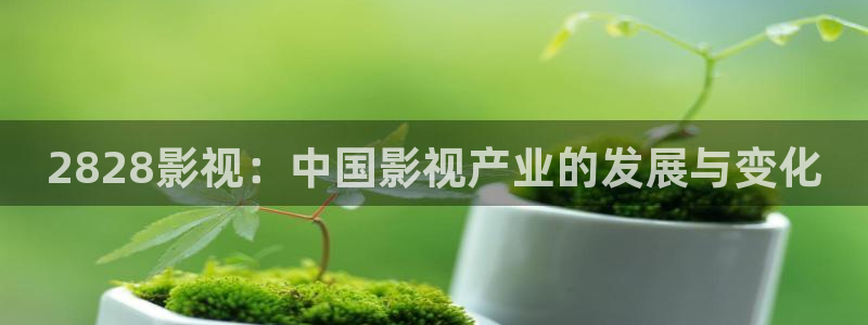 神马影视午夜6080