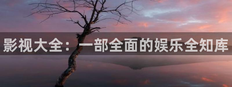 6080新视觉电视剧在线看